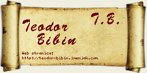 Teodor Bibin vizit kartica